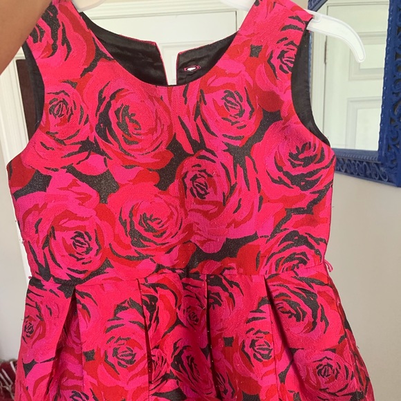Children's Place Other - Rose Dress Children's Place Other - Rose Dress